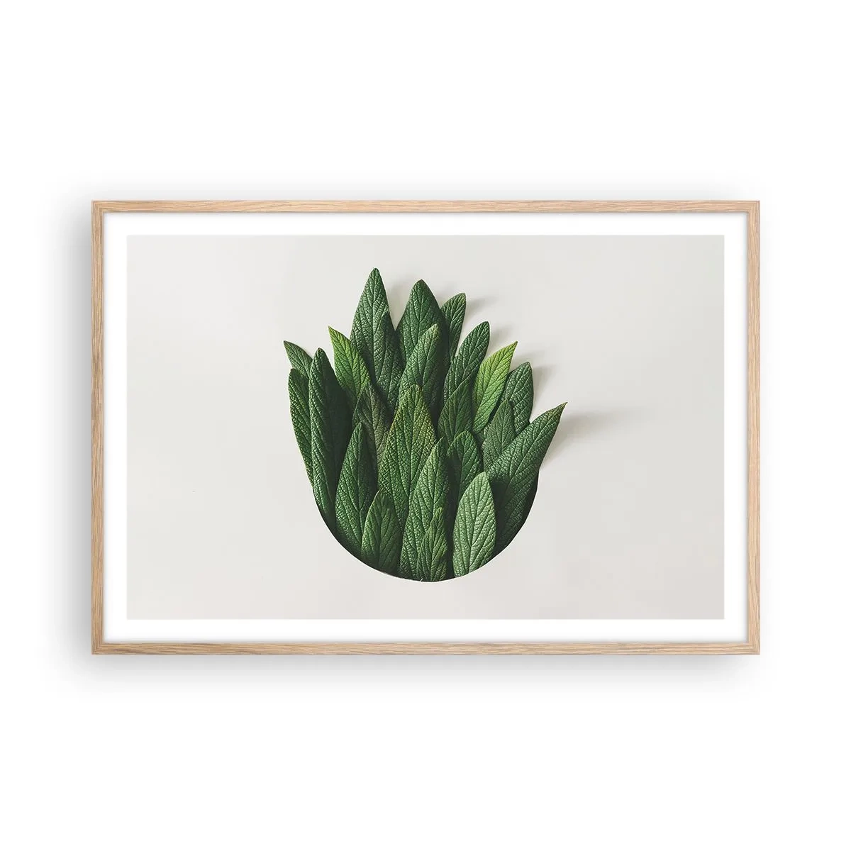 Affiche dans un chêne clair - Poster - Curiosité sans retenue - 91x61 cm