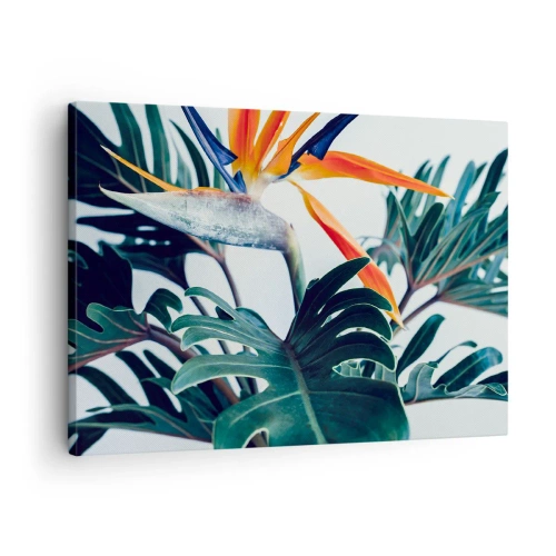 Impression sur toile - Image sur toile - Fleur de Strelitzia entourée de feuilles sous une lumière vive - 70x50cm - Le buisson oiseaux - Décoration murale moderne pour le salon et la chambre ARTTOR