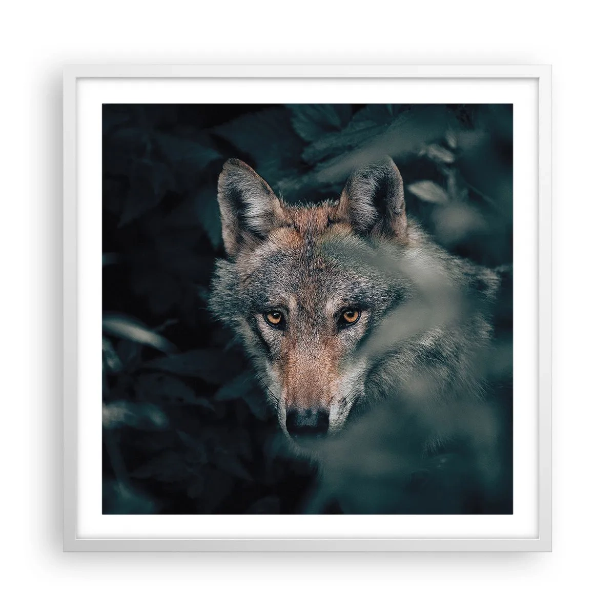 Affiche dans un cadre blanc - Poster - Chasseur - 60x60 cm