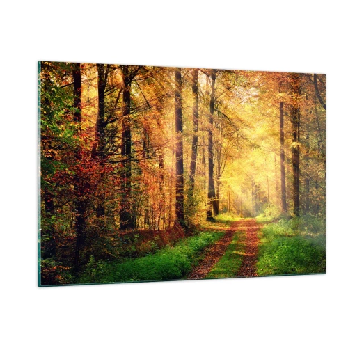 Impression sur verre - Image sur verre - Chemin d'automne dans la forêt avec les rayons du soleil - 120x80cm - Silence d'or en forêt - Décoration murale moderne pour le salon et la chambre ARTTOR