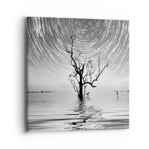 Impression sur toile - Image sur toile - La symphonie de la nature - 40x40 cm