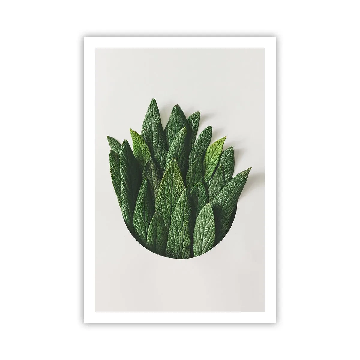 Affiche - Poster - Curiosité sans retenue - 61x91 cm