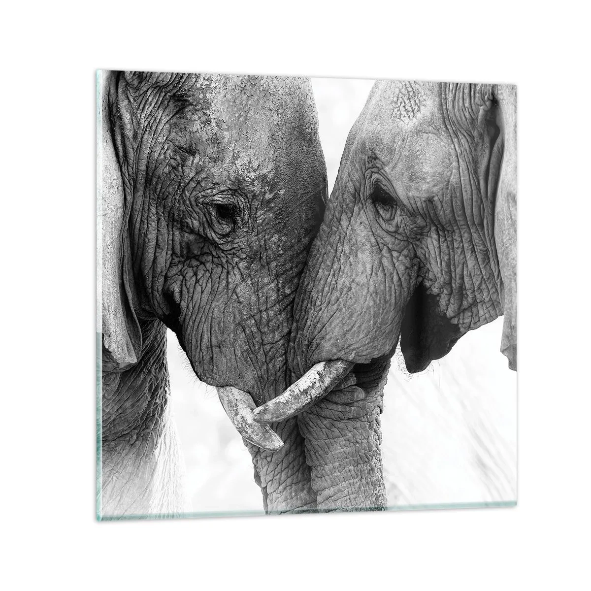 Impression sur verre - Image sur verre - Confession sincère - 40x40 cm