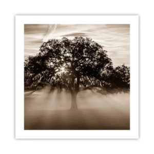 Affiche - Poster - Arbre de bonnes nouvelles - 50x50 cm