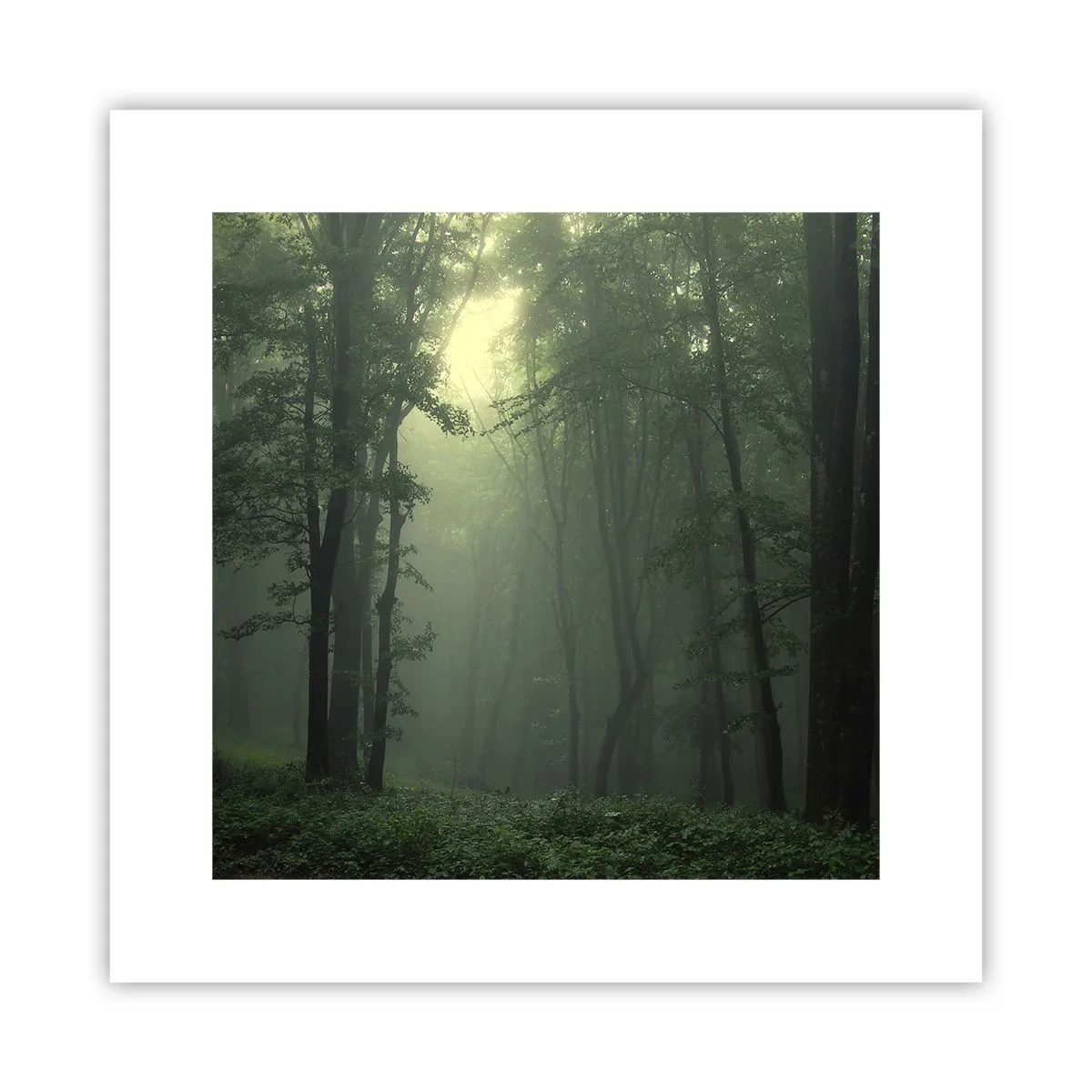 Affiche - Poster - Avant qu'il ne se réveille - 30x30 cm