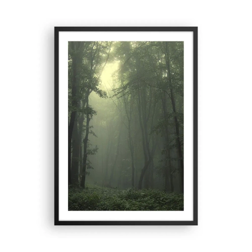Affiche dans un cadre noir - Poster - Arbres brumeux dans une forêt verte - 50x70cm - Avant qu'il ne se réveille - Décoration murale moderne pour le salon et la chambre ARTTOR
