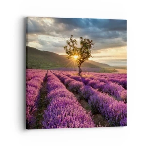 Impression sur toile - Image sur toile - Arôme de couleur lilas - 40x40 cm