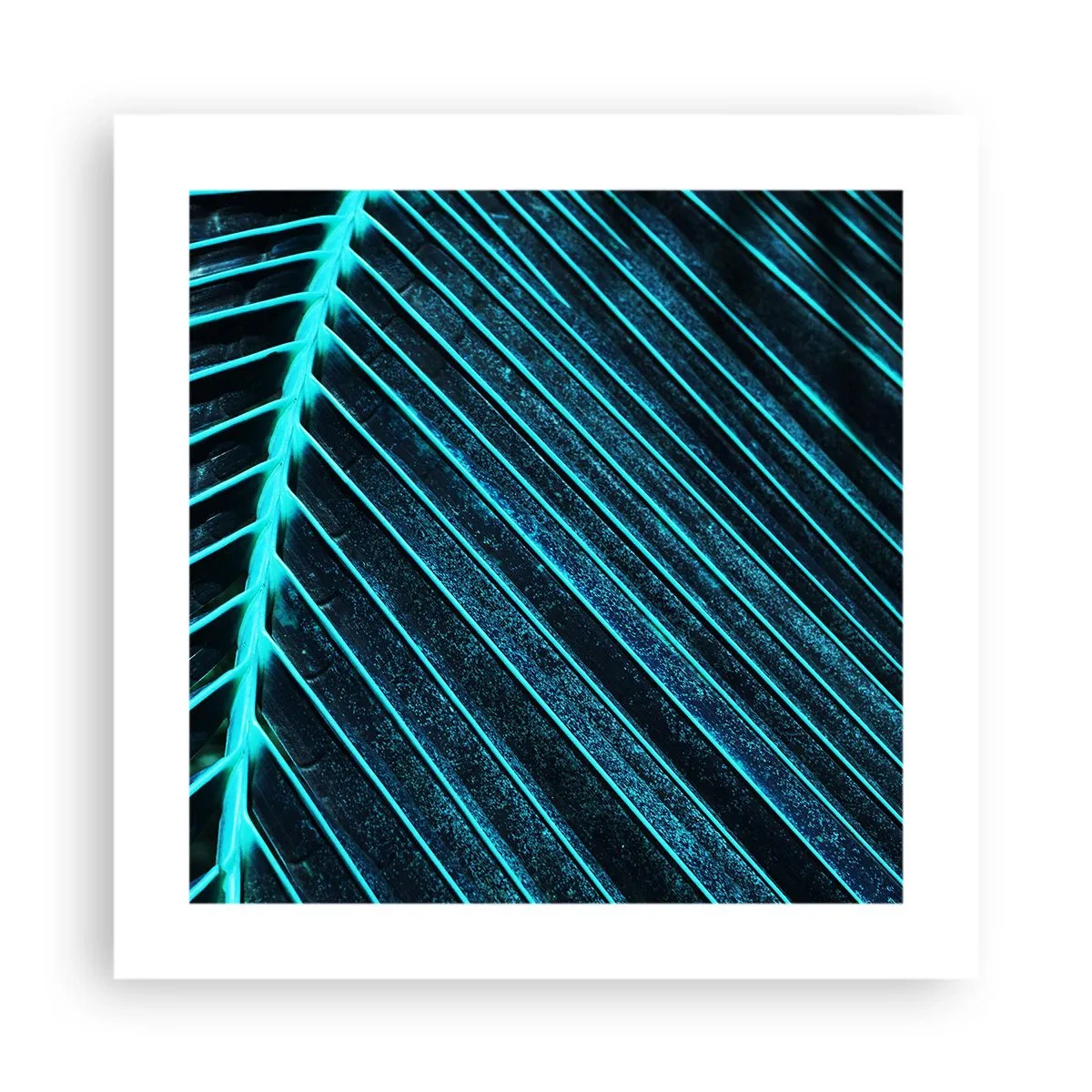 Affiche - Poster - Texture verte - 40x40 cm