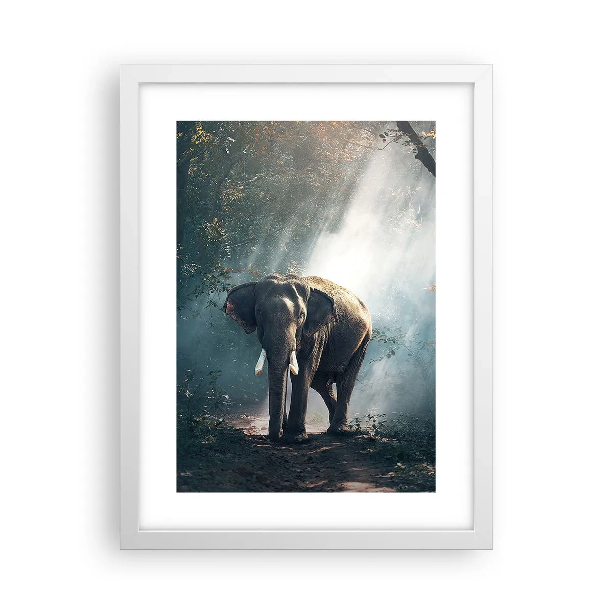 Affiche dans un cadre blanc - Poster - Une balade tranquille - 30x40 cm