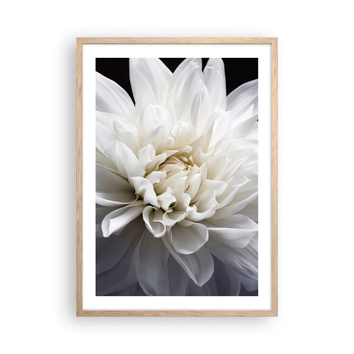 Affiche dans un chêne clair - Poster - Le matin de la jeune mariéé - 50x70 cm