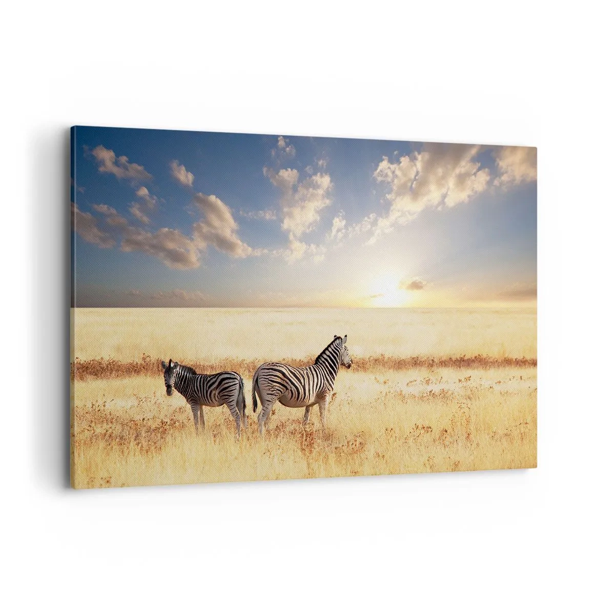 Impression sur toile - Image sur toile - Deux zèbres dans la savane sous les rayons du soleil couchant - 120x80cm - Va-t'en, n'ai pas de paix - Décoration murale moderne pour le salon et la chambre ARTTOR