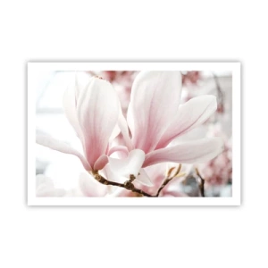 Affiche - Poster - Abondance de tendresse - 91x61 cm