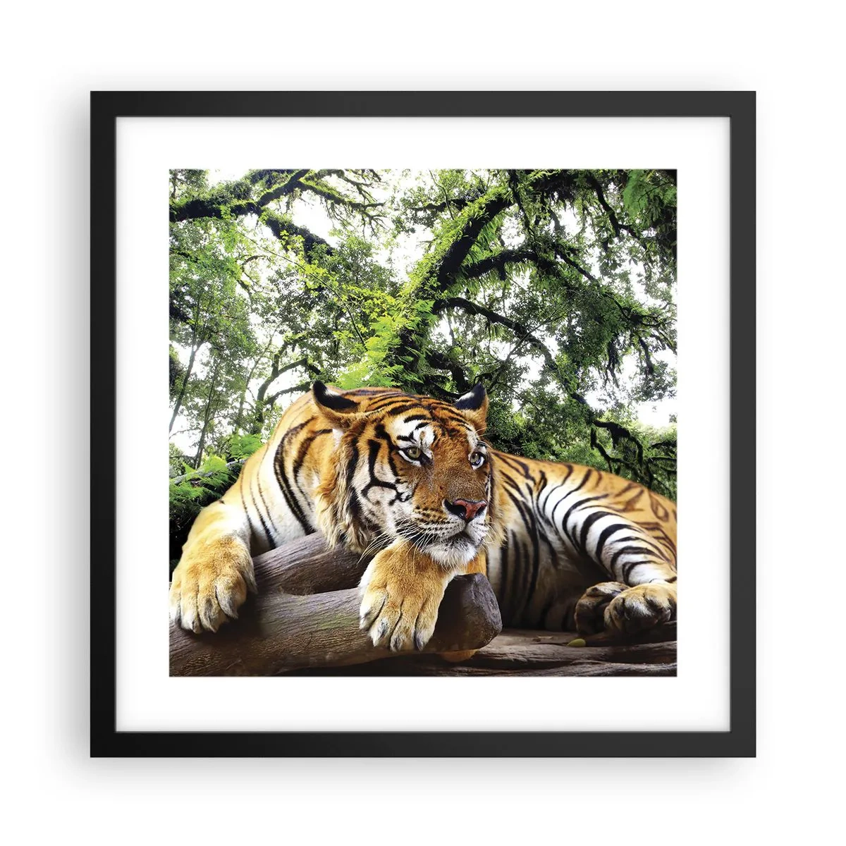 Affiche dans un cadre noir - Poster - Cordialement - 40x40 cm