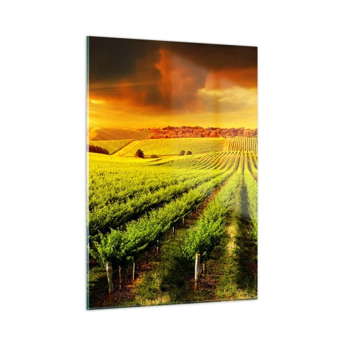 Impression sur verre - Image sur verre - Vignoble à la lumière du soleil couchant - 50x70cm - Sous le soleil australien - Décoration murale moderne pour le salon et la chambre ARTTOR
