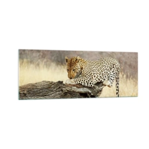 Impression sur verre - Image sur verre - Un léopard se reposant sur un tronc d'arbre dans la savane - 140x50cm - Je suis ma propre route - Décoration murale moderne pour le salon et la chambre ARTTOR