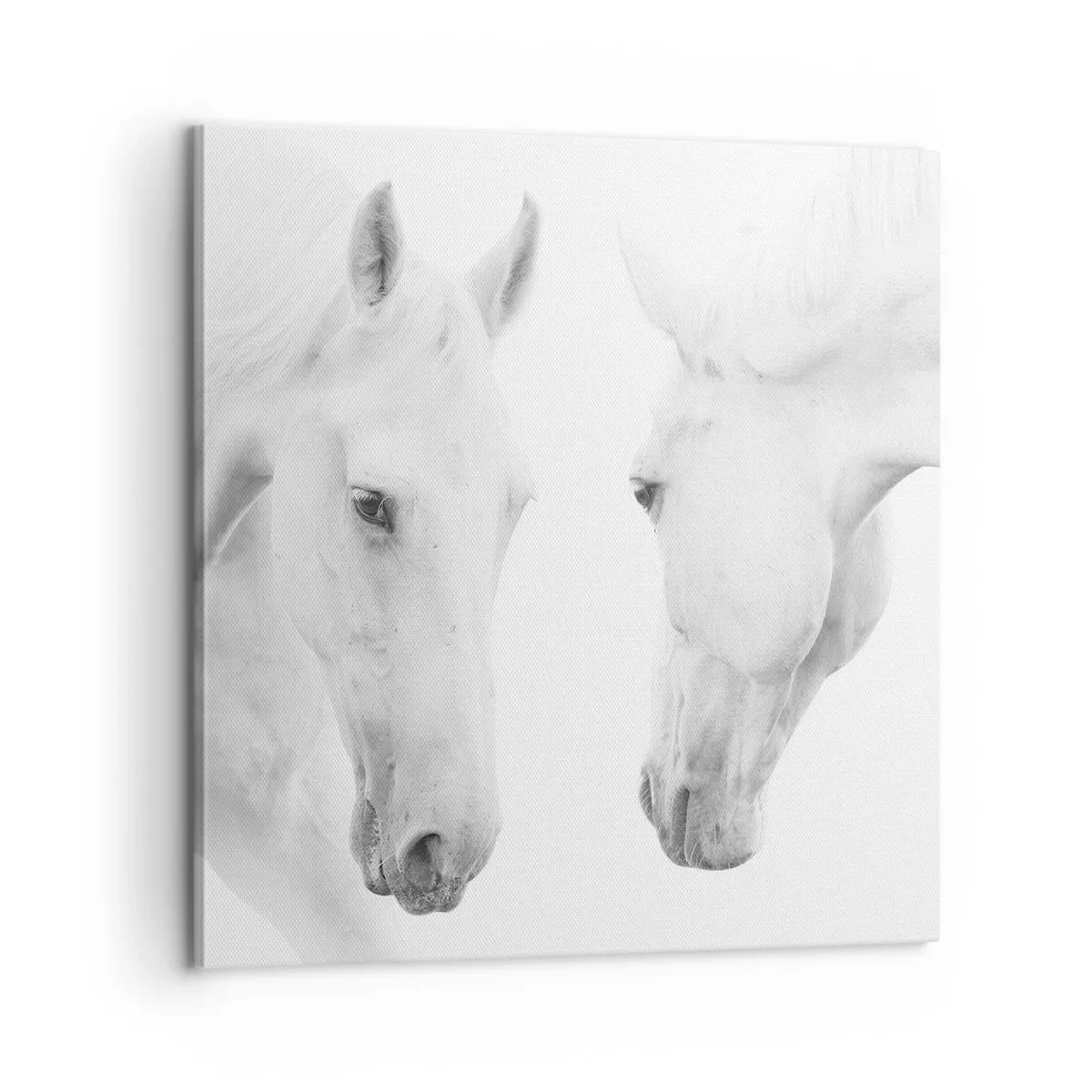 Impression sur toile - Image sur toile - Serait-ce de l’amitié? - 60x60 cm