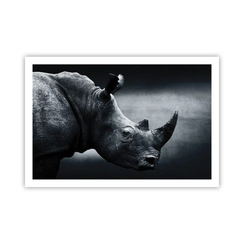 Affiche - Poster - Le profil droit - 91x61 cm