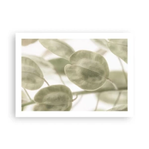 Affiche - Poster - Au commencement il y avait des feuilles... - 70x50 cm