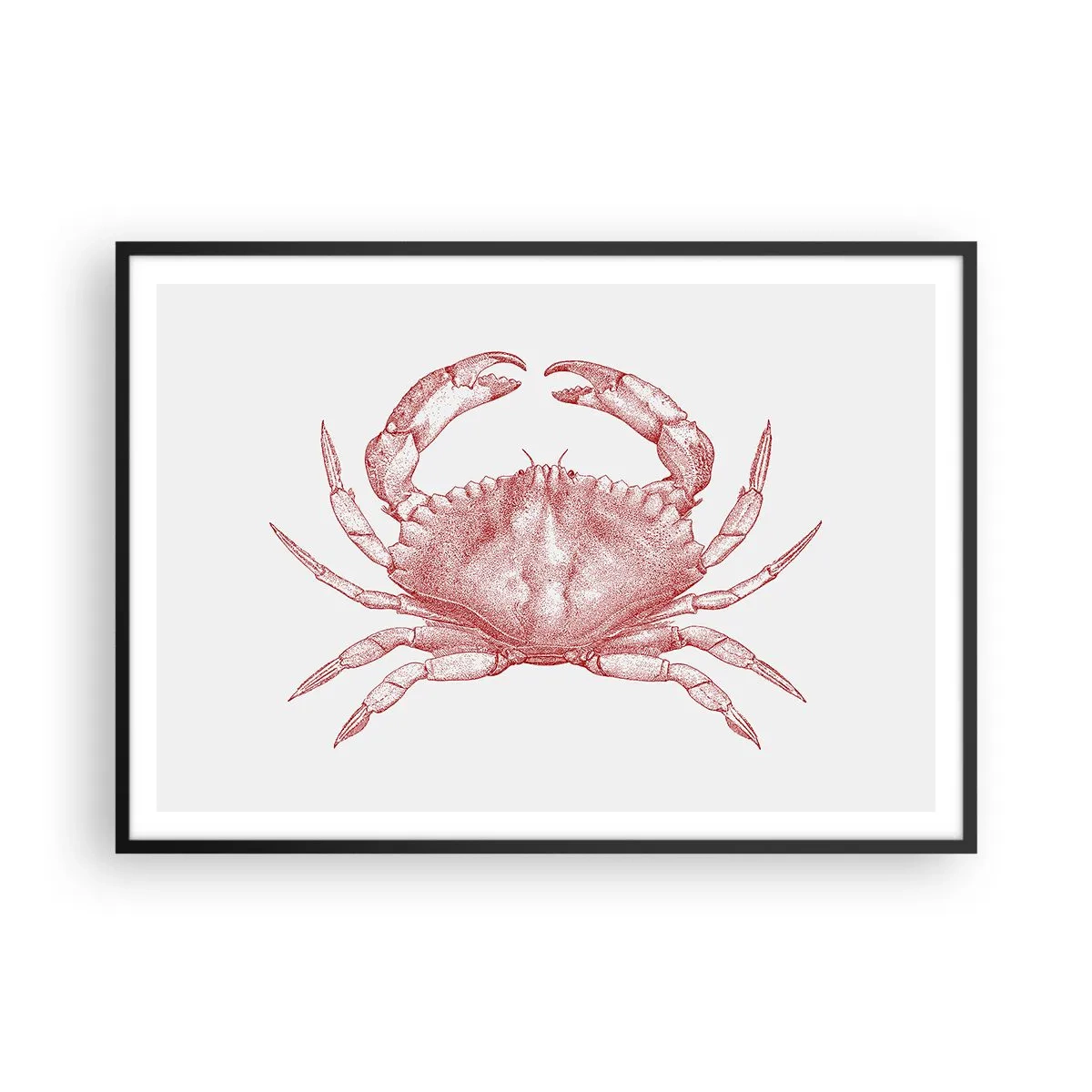Affiche dans un cadre noir - Poster - Dessin d'un crabe dans une teinte rouge - 100x70cm - Le crabe des crabes - Décoration murale moderne pour le salon et la chambre ARTTOR