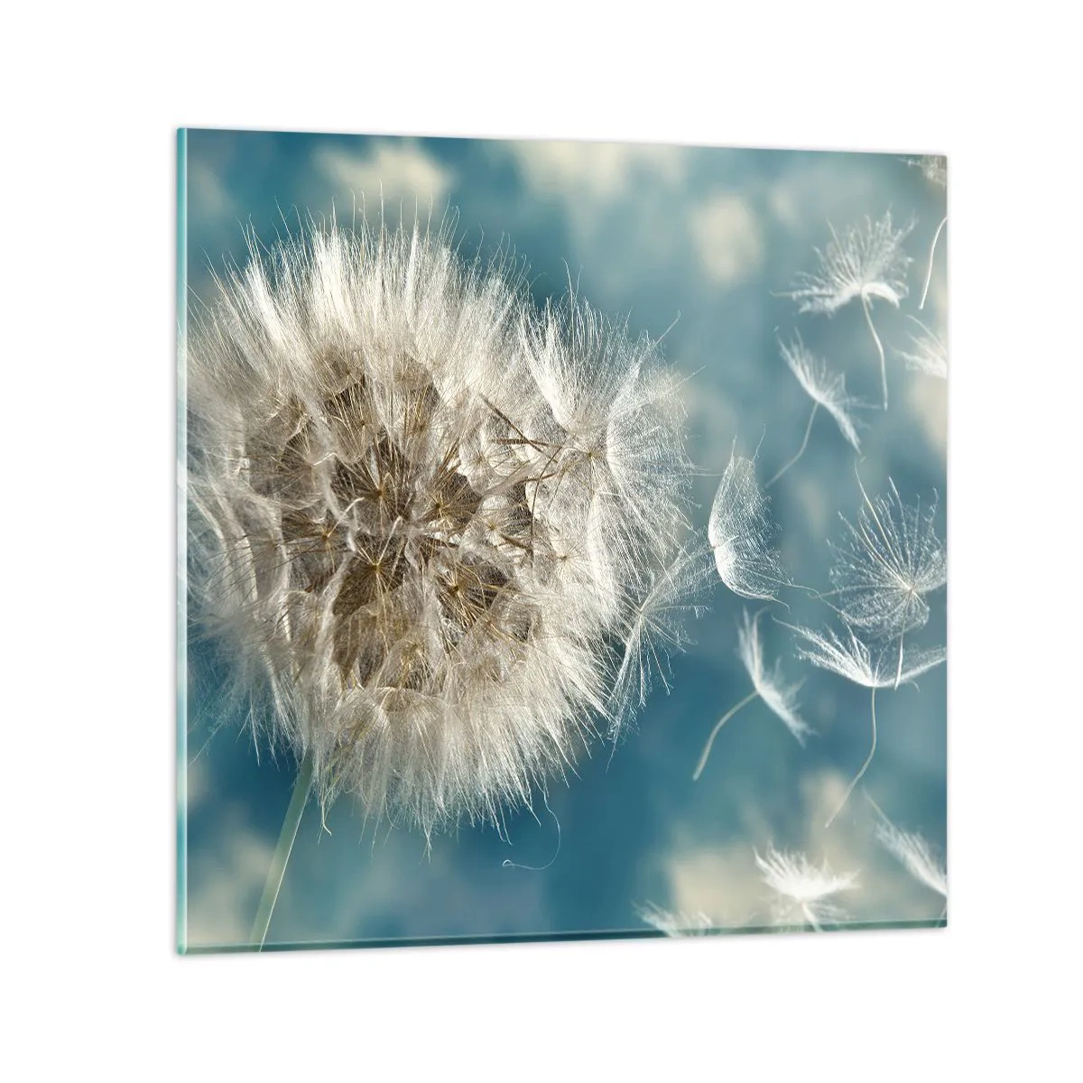 Impression sur verre - Image sur verre - souffle d'ange - 70x70 cm