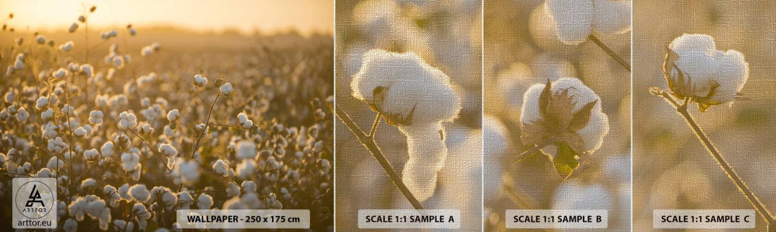 Échantillon de Papier Peint Premium Canvas - Champ moelleux - Champ de coton, Asie, Nature - 100x30 cm