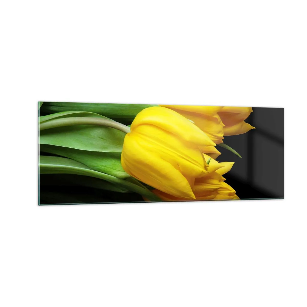 Impression sur verre - Image sur verre - Un bouquet de tulipes jaunes sur fond noir - 140x50cm - Lever de soleil pur - Décoration murale moderne pour le salon et la chambre ARTTOR