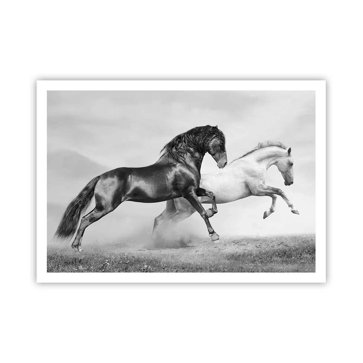Affiche - Poster - Deux chevaux au galop dans une composition dynamique en noir et blanc - 100x70cm - Anges et démons - Décoration murale moderne pour le salon et la chambre ARTTOR