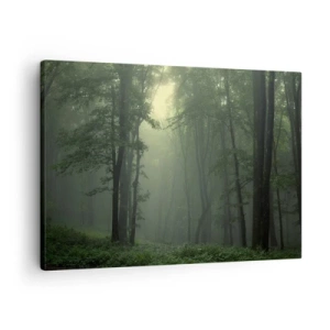 Impression sur toile - Image sur toile - Une forêt verte le matin enveloppée d'un brouillard délicat - 70x50cm - Avant qu'il ne se réveille - Décoration murale moderne pour le salon et la chambre ARTTOR