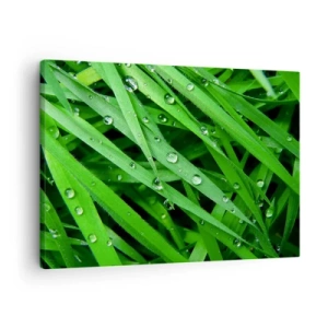 Impression sur toile - Image sur toile - Gros plan de brins d'herbe verte avec des gouttes de rosée - 70x50cm - Jouez dans le vert - Décoration murale moderne pour le salon et la chambre ARTTOR