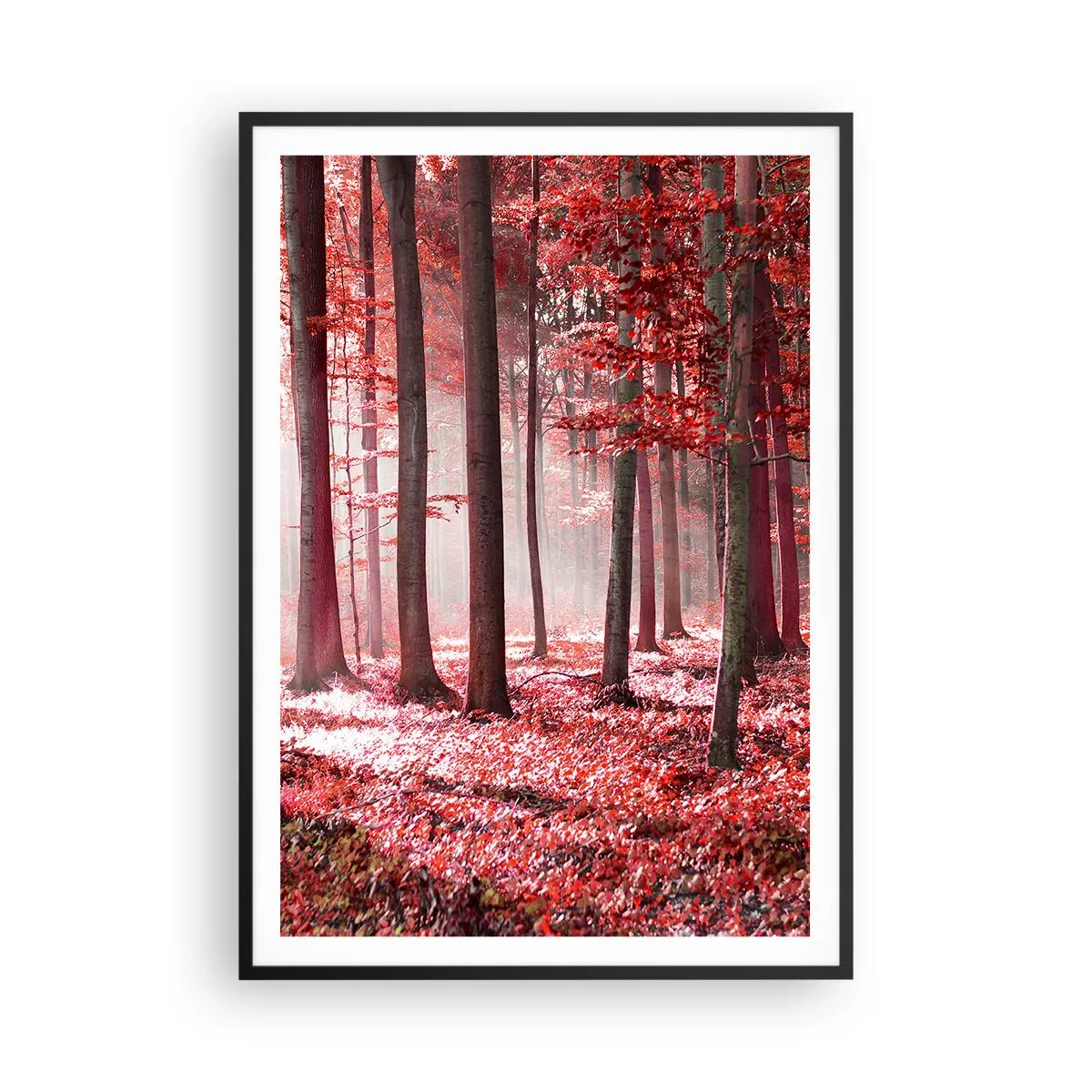 Affiche dans un cadre noir - Poster - Le rouge est tout aussi beau - 70x100 cm