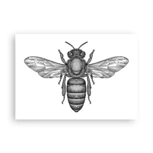 Affiche - Poster - Un motif d'abeille de dessin animé sur fond blanc dans un style minimaliste. - 100x70cm - Portrait d'insecte - Décoration murale moderne pour le salon et la chambre ARTTOR