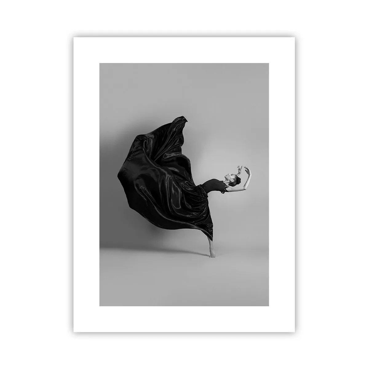 Affiche - Poster - Musique ailées - 30x40 cm