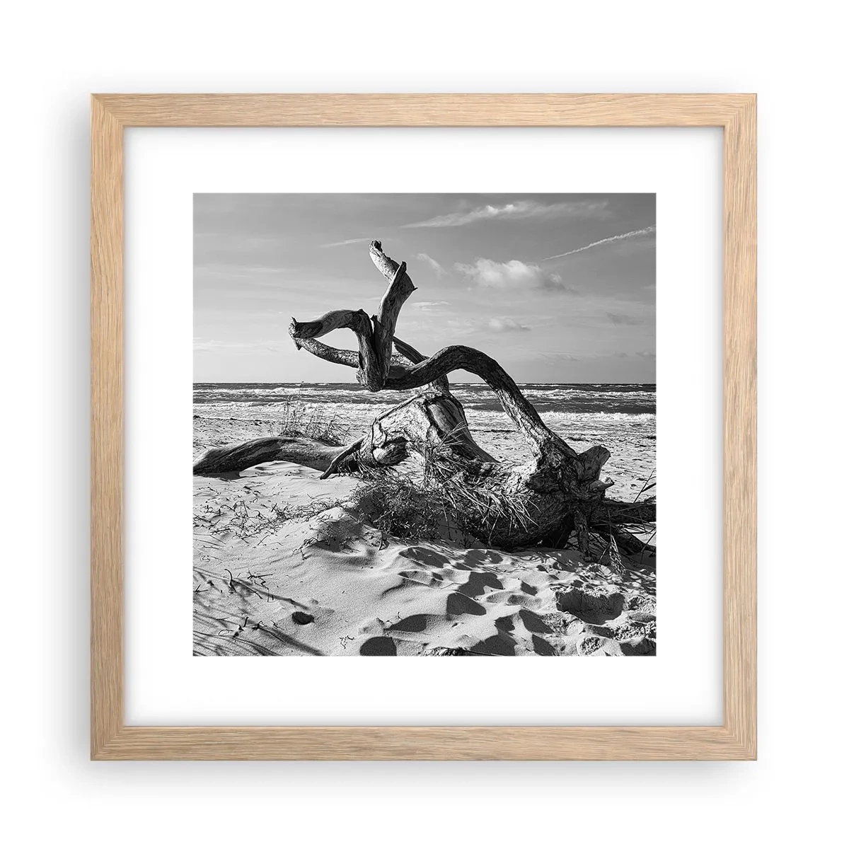 Affiche dans un chêne clair - Poster - Sculpture marine - 30x30 cm