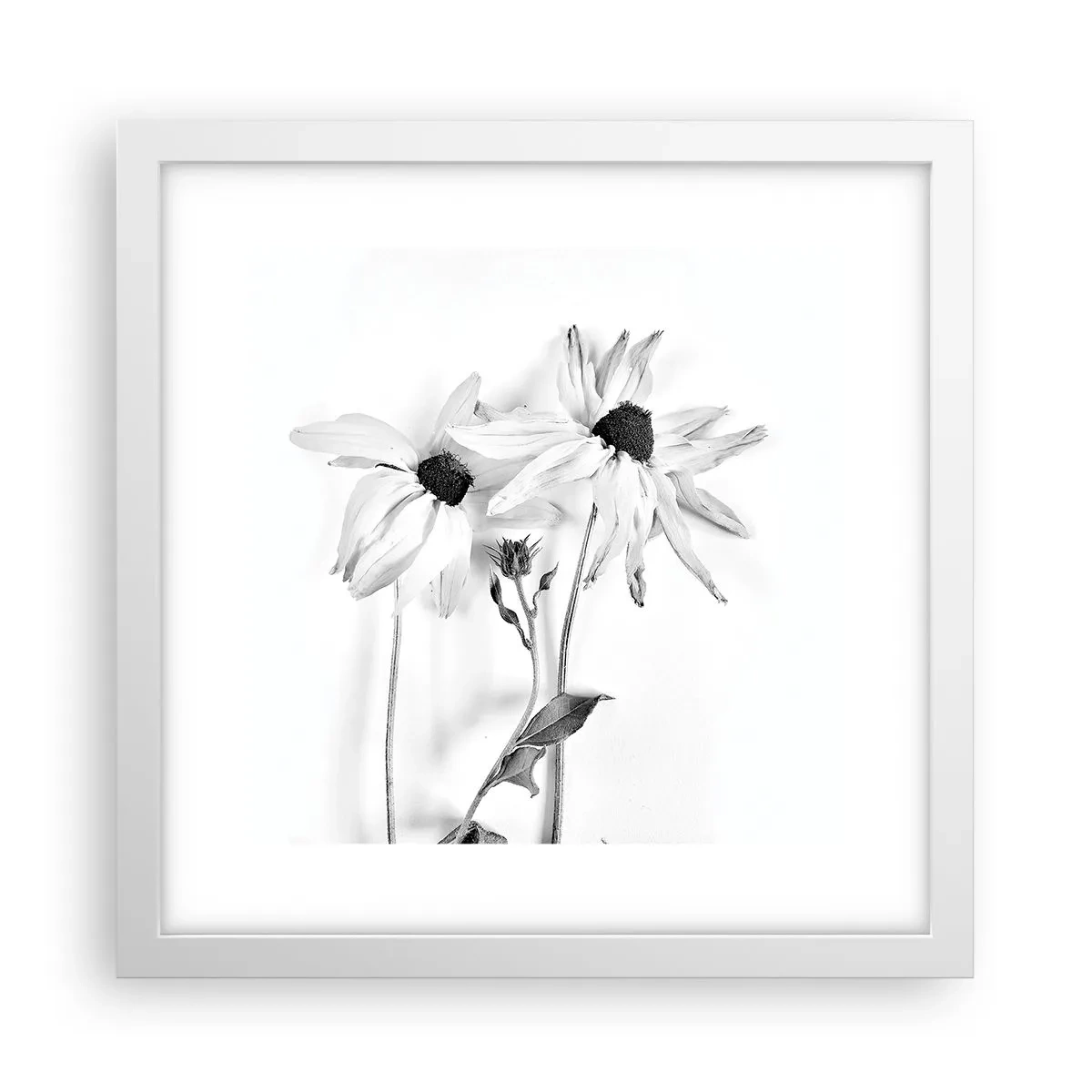 Affiche dans un cadre blanc - Poster - Personne ne souhaite être seul - 30x30 cm