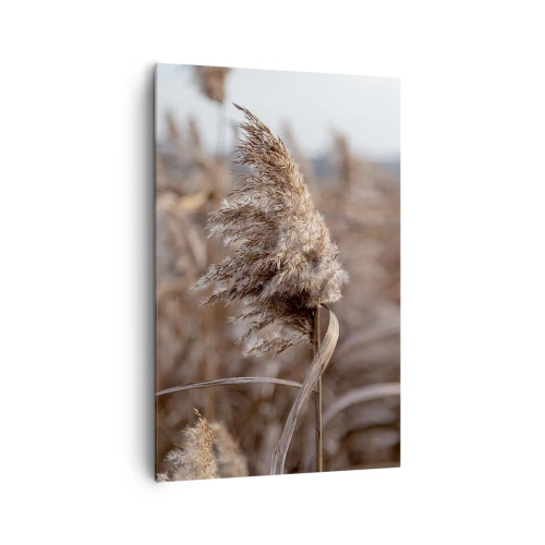 Impression sur toile - Image sur toile - Graminées délicates dans des tons beiges sur fond de nature - 80x120cm - Il est temps de s'envoler avec le vent - Décoration murale moderne pour le salon et la chambre ARTTOR