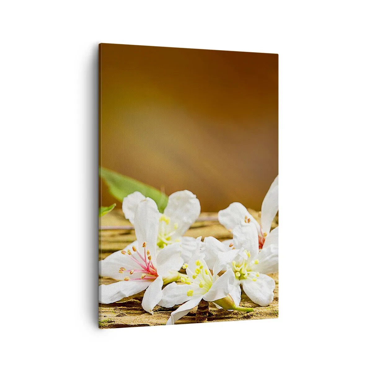 Impression sur toile - Image sur toile - Fleurs blanches sur fond de bois à la lumière naturelle - 50x70cm - Une promesse innocente - Décoration murale moderne pour le salon et la chambre ARTTOR