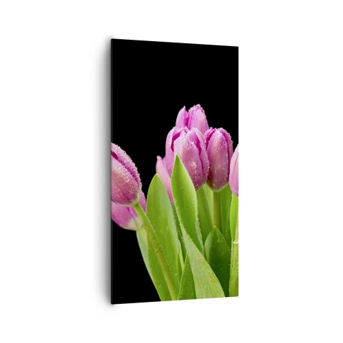 Impression sur toile - Image sur toile - Joie printanière des lilas - 65x120 cm