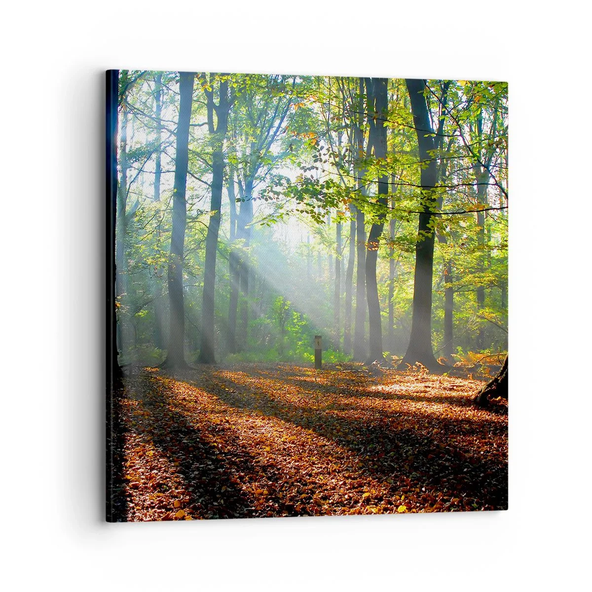 Impression sur toile - Image sur toile - Ombres et lumières - 70x70 cm