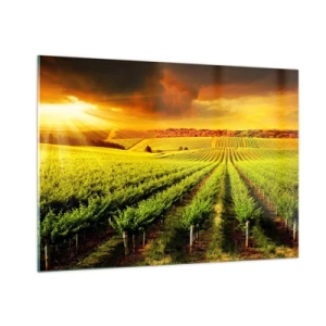 Impression sur verre - Image sur verre - Vignoble à la lumière du soleil couchant - 100x70cm - Sous le soleil australien - Décoration murale moderne pour le salon et la chambre ARTTOR