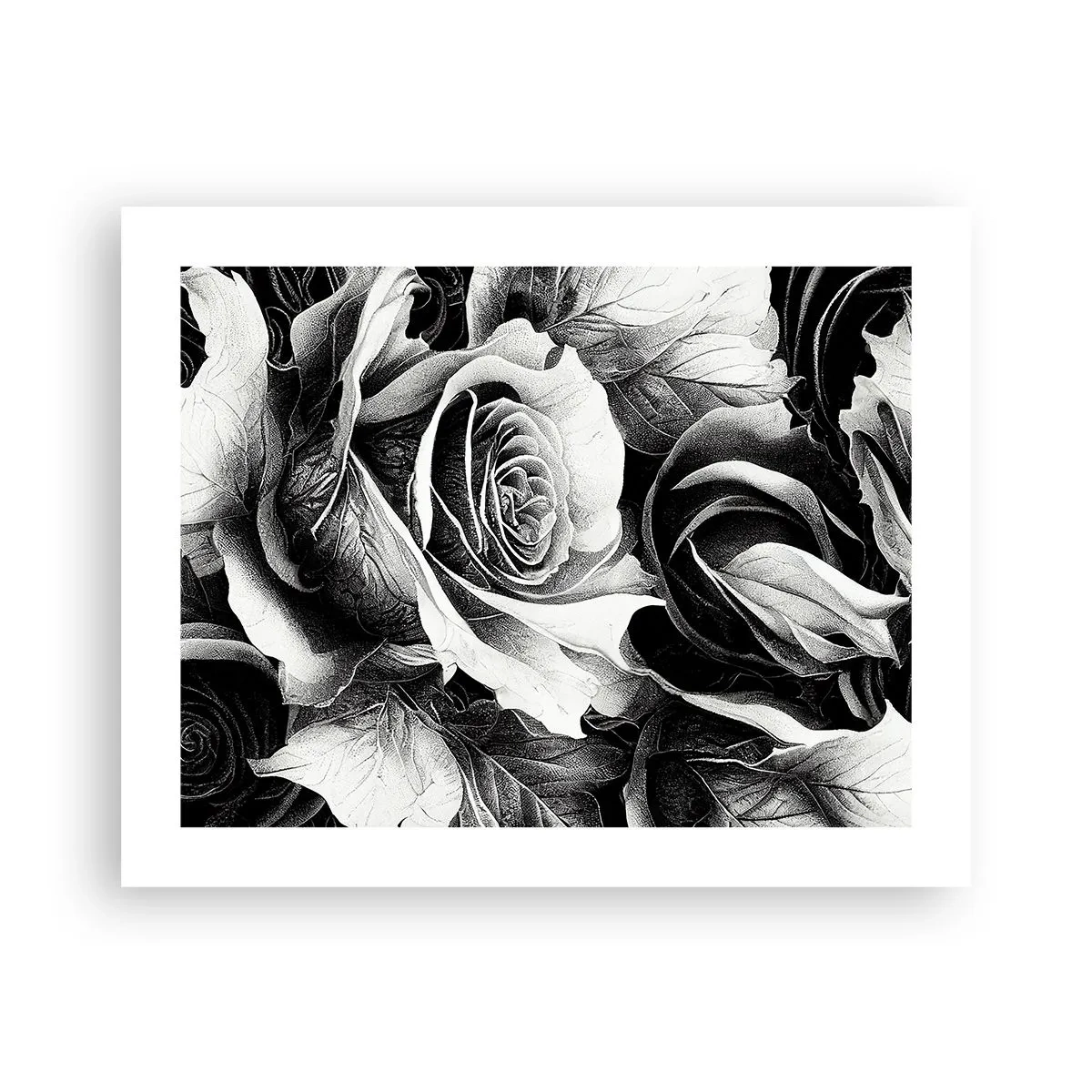 Affiche - Poster - Toujours une reine - 50x40 cm