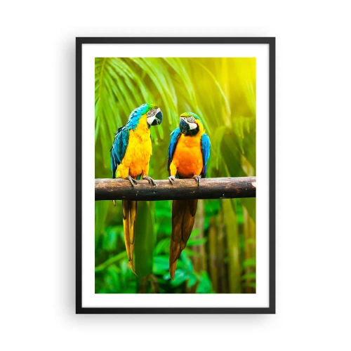 Affiche dans un cadre noir - Poster - Perroquets aux couleurs vives dans un décor tropical - 50x70cm - Et avez-vous entendu qu'elle ...? - Décoration murale moderne pour le salon et la chambre ARTTOR