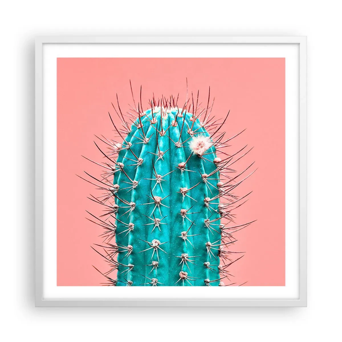 Affiche dans un cadre blanc - Poster - Juste regarde - 60x60 cm