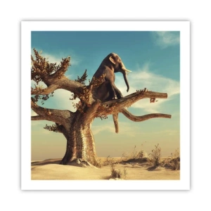 Affiche - Poster - Nouveau point de vue - 60x60 cm