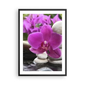 Affiche dans un cadre noir - Poster - Une orchidée violette sur un fond de pierres dans un arrangement harmonieux - 50x70cm - Tu te reposes déjà - Décoration murale moderne pour le salon et la chambre ARTTOR
