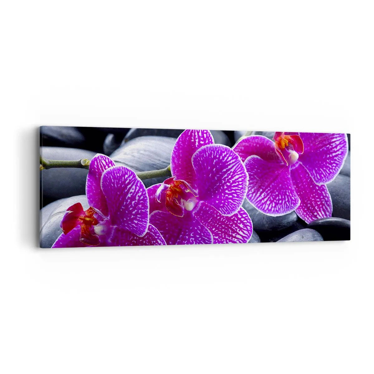 Impression sur toile - Image sur toile - Les pierres brillaient de joie - 90x30 cm