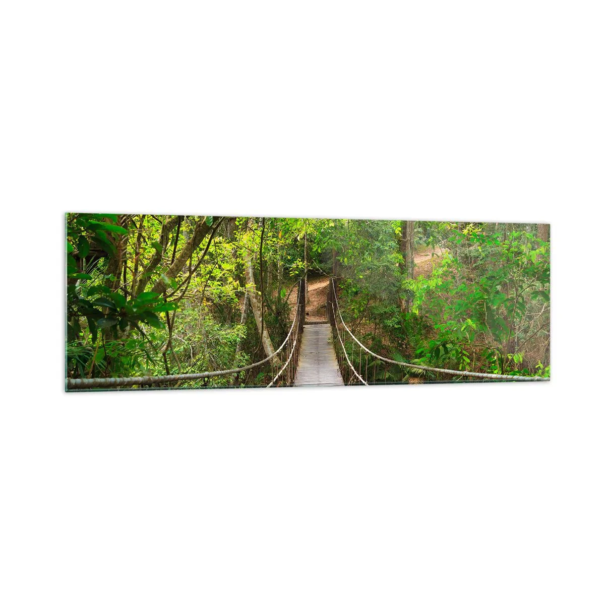 Impression sur verre - Image sur verre - Un pont suspendu entouré d'une forêt tropicale verte - 160x50cm - Parce qu'il y a une plante grimpante dans le jardin - Décoration murale moderne pour le salon et la chambre ARTTOR
