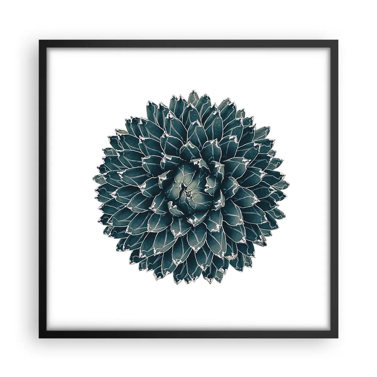 Affiche dans un cadre noir - Poster - Étoile du désert - 50x50 cm