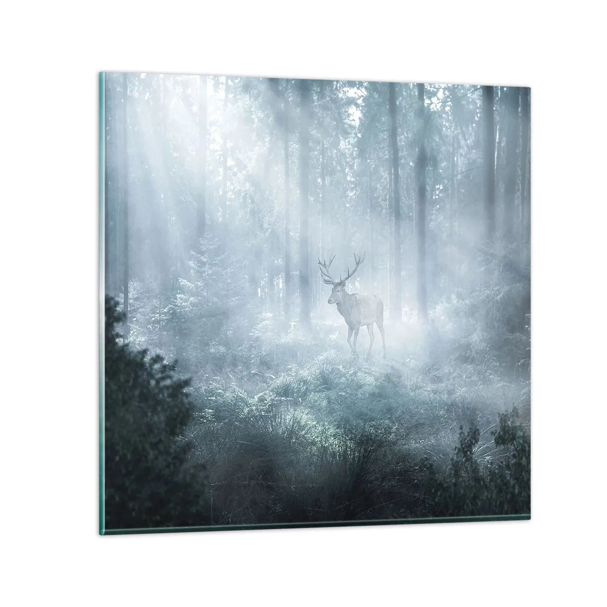 Impression sur verre - Image sur verre - Visite matinale du domaine - 30x30 cm