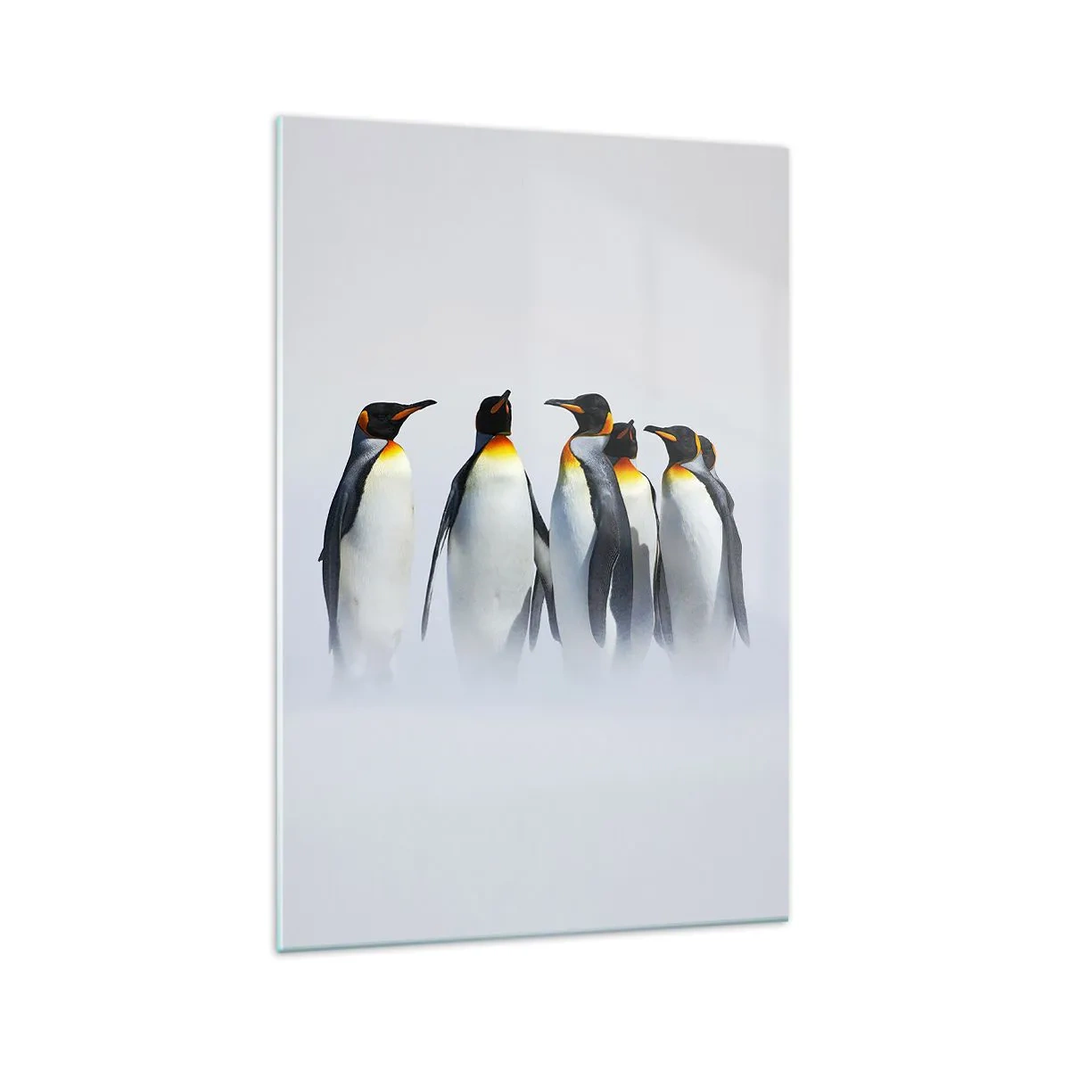 Impression sur verre - Image sur verre - Un groupe de manchots empereurs dans le brouillard hivernal - 70x100cm - Rencontre en robes de soirée - Décoration murale moderne pour le salon et la chambre ARTTOR