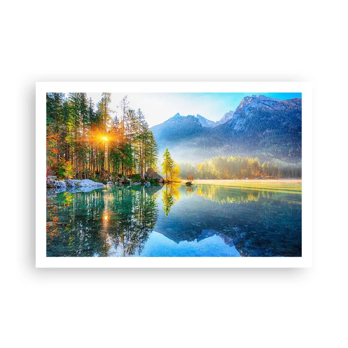 Affiche - Poster - Majesté et douceur - 91x61 cm